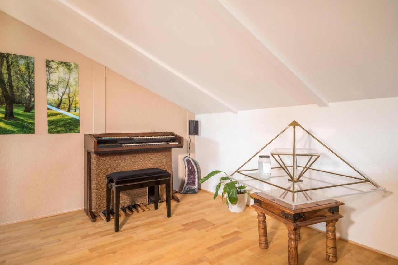 Luxurioeses Penthouse-Appartement Höchst المظهر الخارجي الصورة